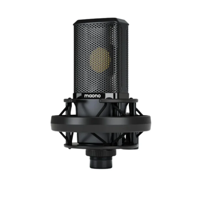 PM500 錄音室品質 XLR 麥克風